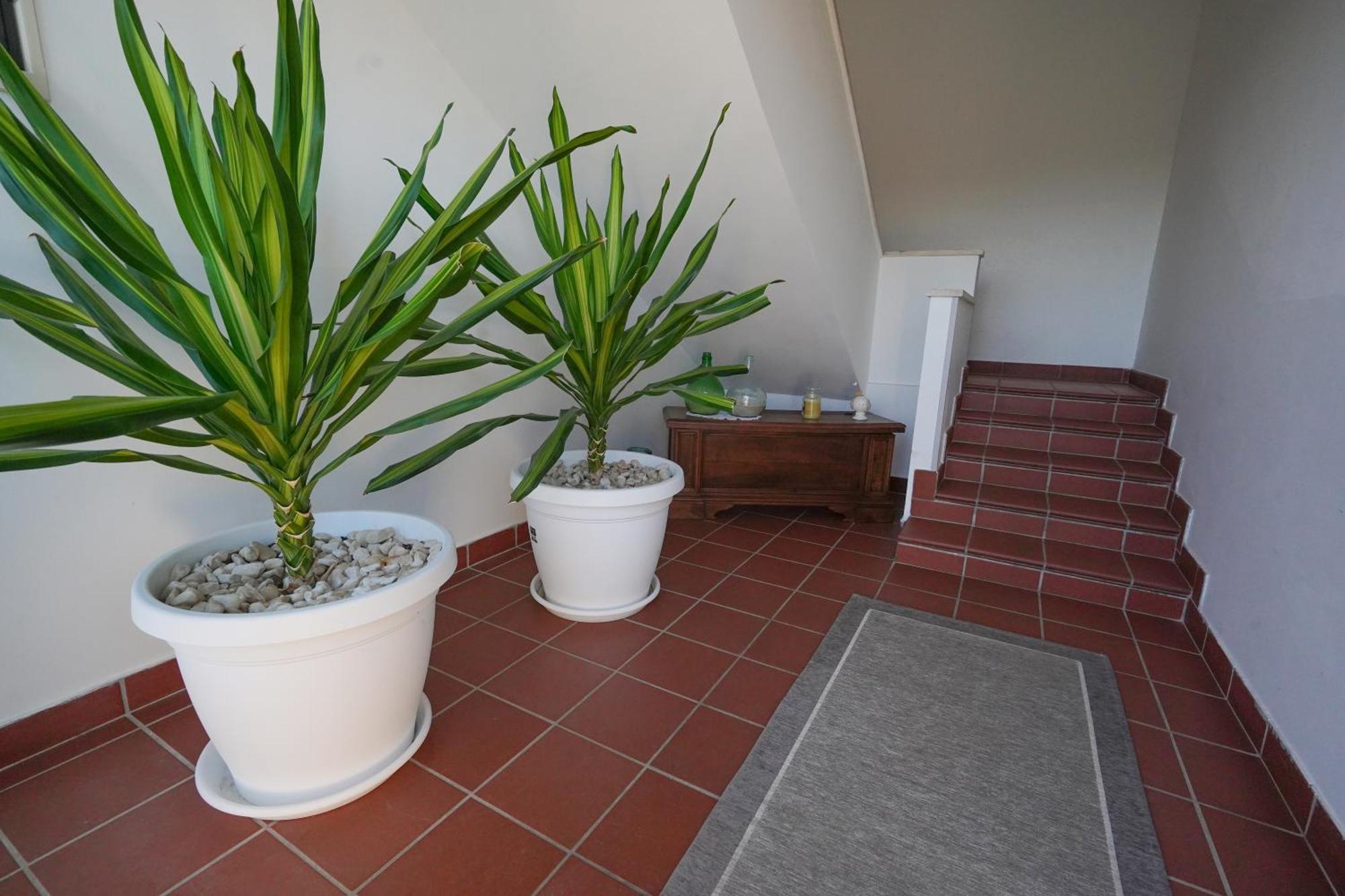 Silvia Casa Vacanze Porto Cesareo Zewnętrze zdjęcie